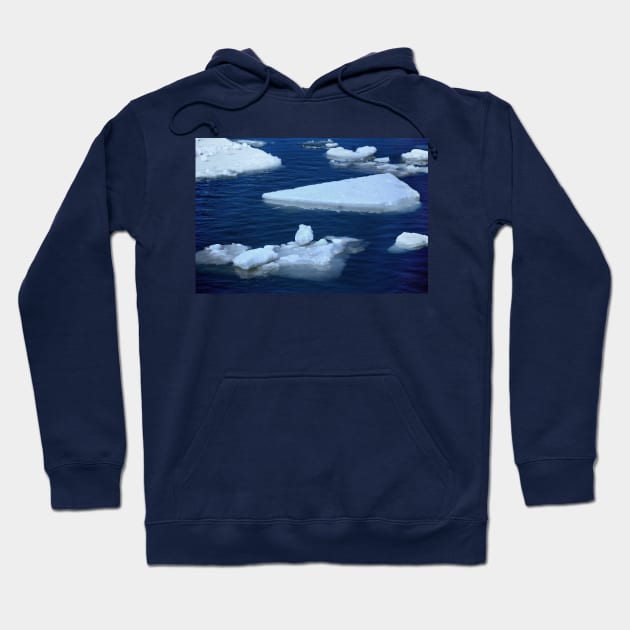 Ice Floes Hoodie by LaurieMinor